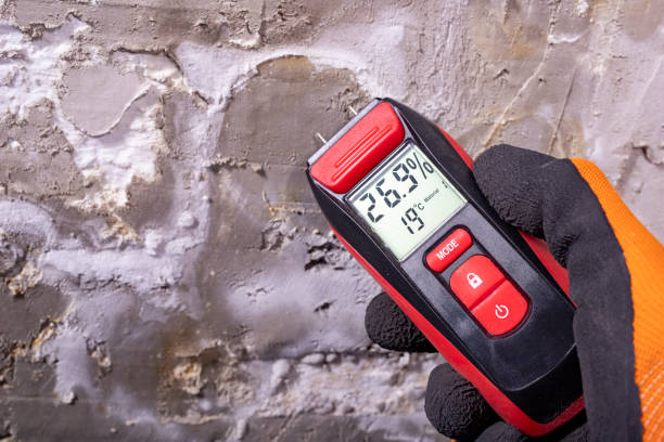 Best Mold Removal Process  in Barnwell, SC