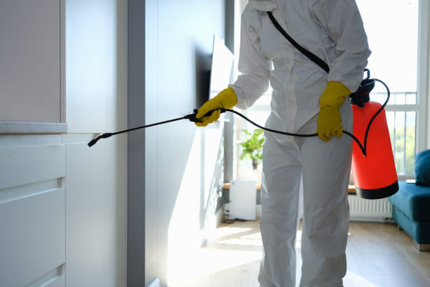 Best Crawl Space Mold Removal  in Barnwell, SC