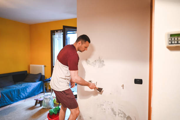 Best Mold Damage Repair  in Barnwell, SC